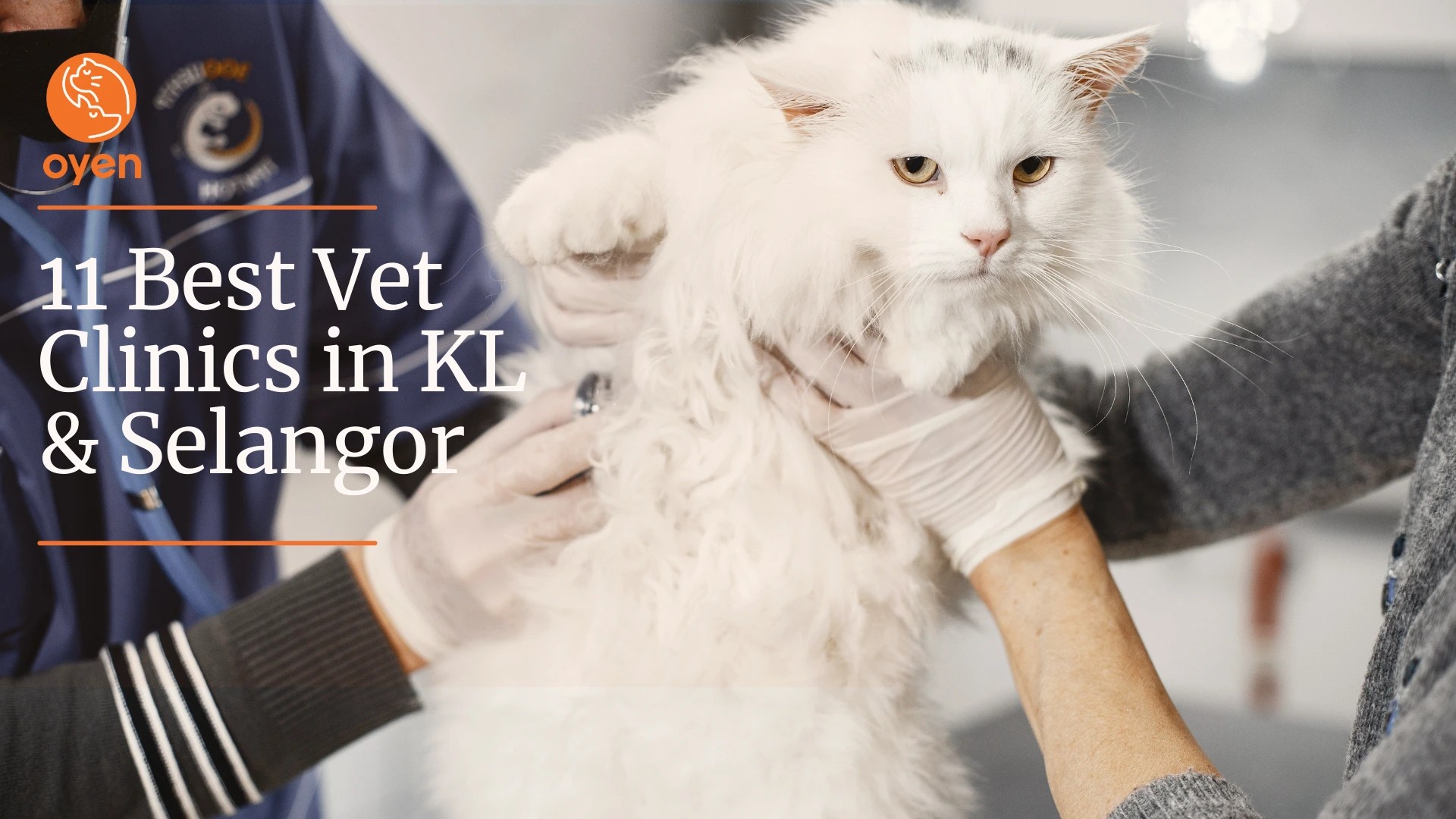 2023 Guide 11 Best Vet Clinics in KL and Selangor